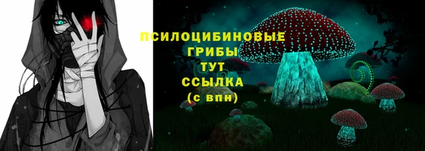гашик Нефтегорск