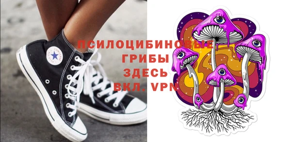ПСИЛОЦИБИНОВЫЕ ГРИБЫ Алапаевск